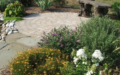 Featured Grower – Sandy’s Plants